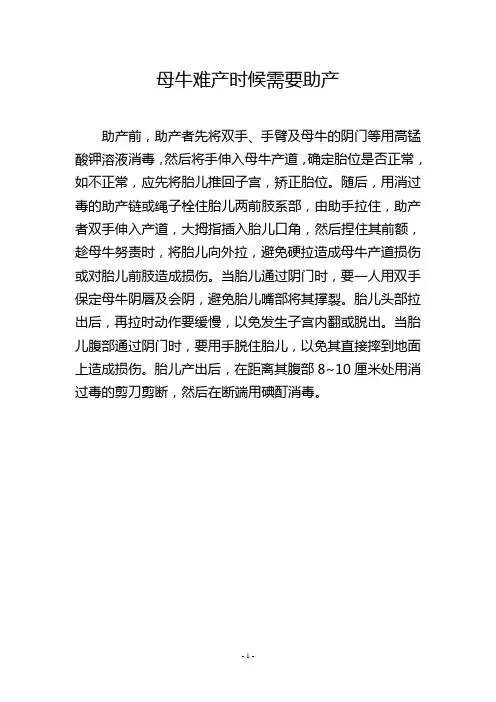 母牛难产时候需要助产