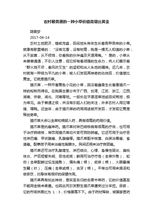 农村最普通的一种小草价值竟堪比黄金