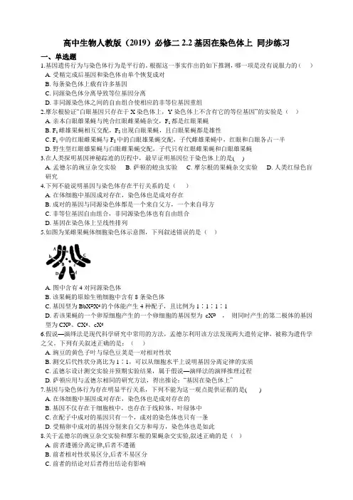 高中生物第二册 2 2基因在染色体上 同步练习(含解析)