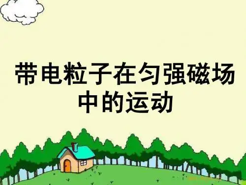 3.6带电粒子在匀强磁场中的运动