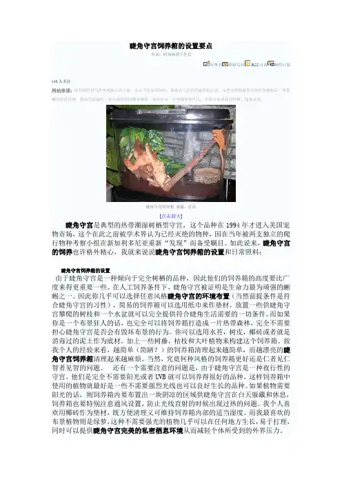睫角的养箱布置