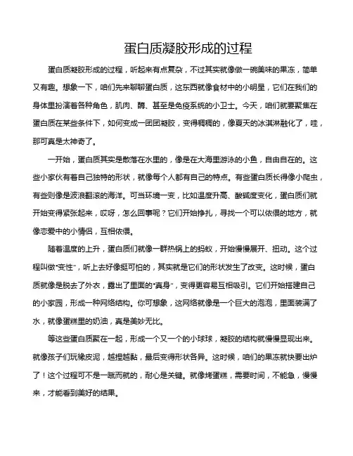 蛋白质凝胶形成的过程