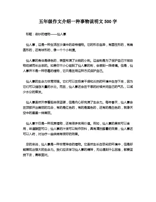五年级作文介绍一种事物说明文500字