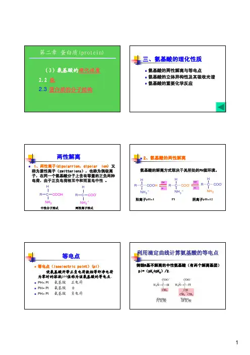 氨基酸的理化性质