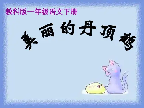 一年级下册《美丽的丹顶鹤》精品课件