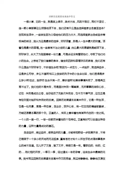 回眸历史展望未来高中作文