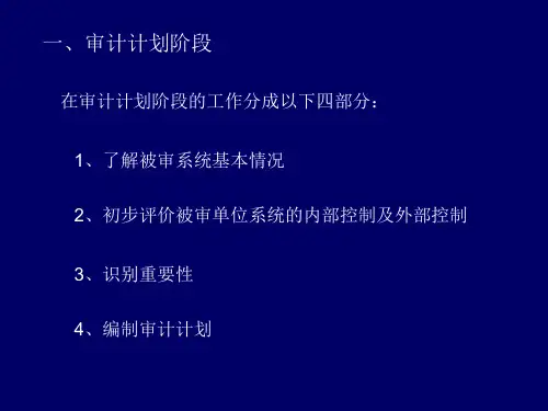 信息系统审计的操作流程