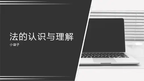 民法--总论第一讲[法的认识与理解