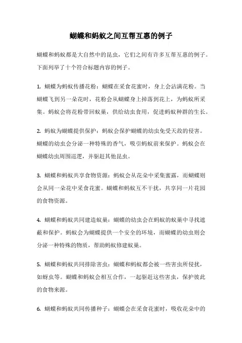蝴蝶和蚂蚁之间互帮互惠的例子