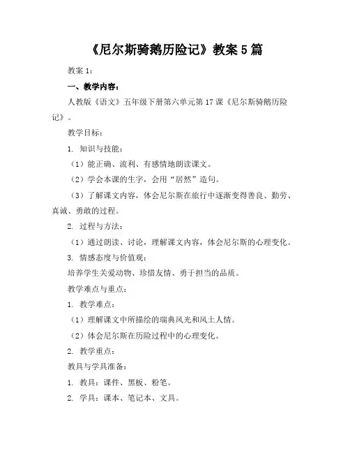 《尼尔斯骑鹅历险记》教案5篇