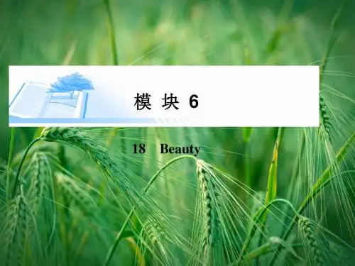 18 Beauty精讲课件 北师大版选修6课件