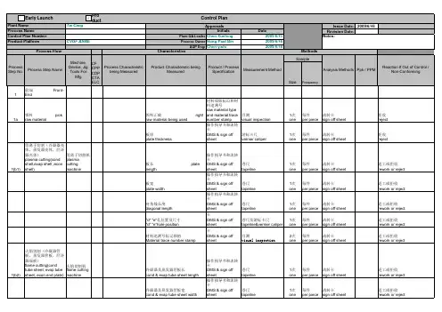 控制计划范例Control plan
