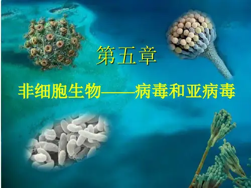 非细胞生物病毒和亚病毒