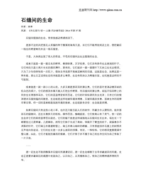 石缝间的生命