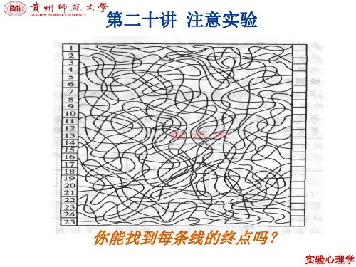 第二十讲 注意实验