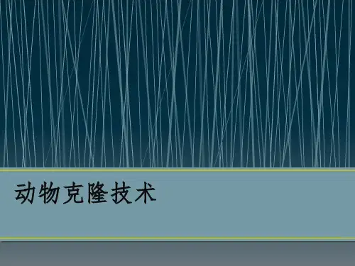 动物克隆技术