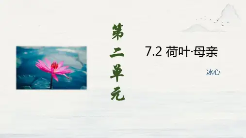 第7课《散文诗二首荷叶母亲》课件(共18张)语文七年级上册
