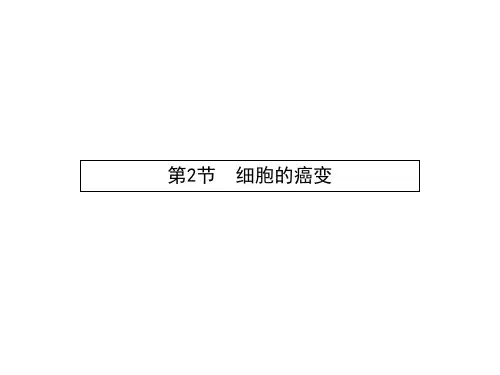 高中生物必修一北师大版课件：7.2 细胞的癌变(共18张PPT)