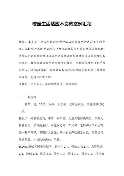 2023年心理咨询师二级案例报告