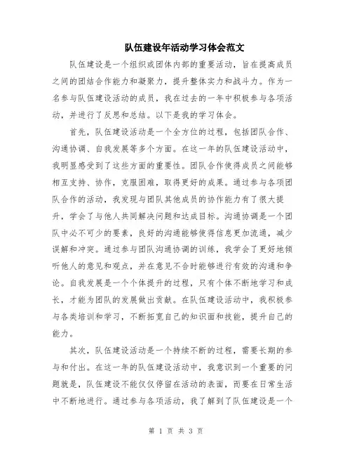 队伍建设年活动学习体会范文