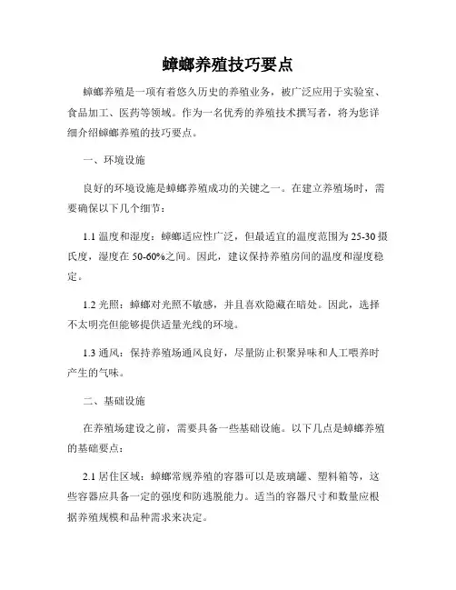 蟑螂养殖技巧要点