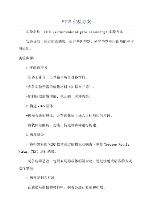 VIGS实验方案