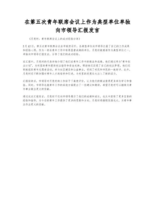 在第五次青年联席会议上作为典型单位单独向市领导汇报发言
