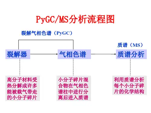 裂解气相色谱质谱联用ppt课件.ppt