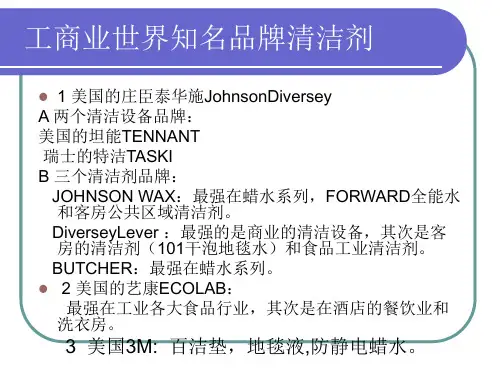 世界清洁剂和清洁设备知名品牌2014