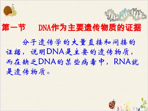 遗传学遗传物质的分子基础PPT.