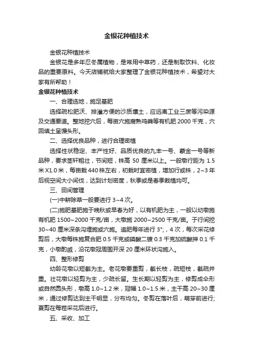 金银花种植技术