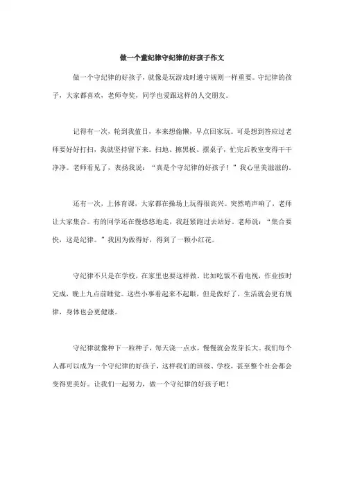 做一个董纪律守纪律的好孩子作文