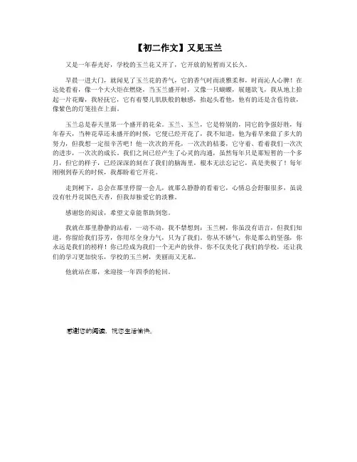 【初二作文】又见玉兰