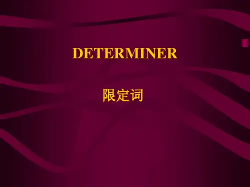 (完整版)专四语法专题复习：限定词解读