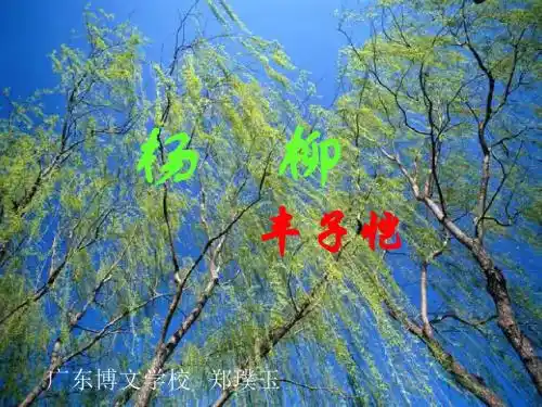 诵读欣赏：杨柳PPT1 苏教版 (共11张PPT)