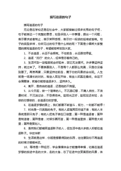 描写追逐的句子