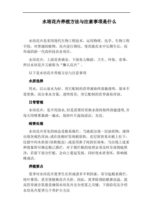 水培花卉养殖方法与注意事项是什么