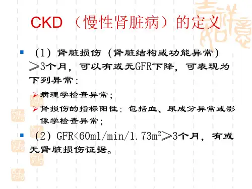 CKD患者的居家食疗