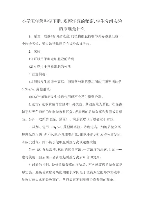 小学五年级科学下册,观察洋葱的秘密,学生分组实验的原理是什么