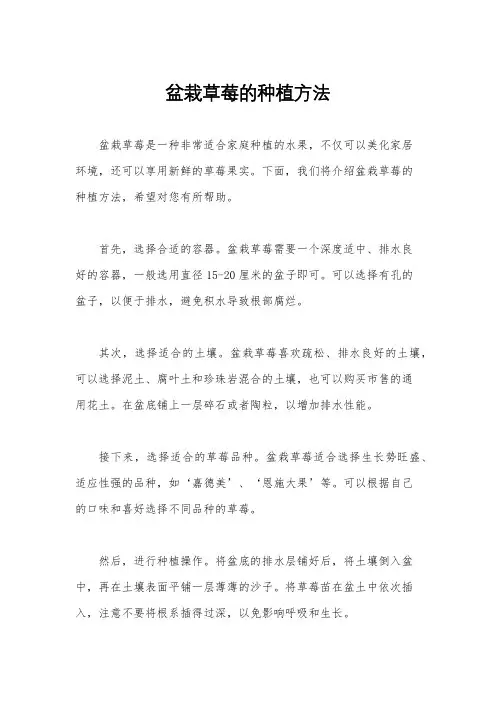 盆栽草莓的种植方法