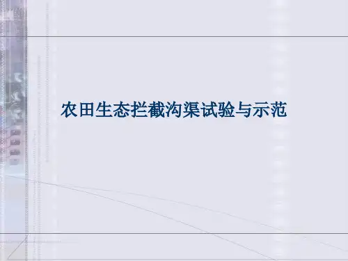 农田生态拦截沟渠试验与示范