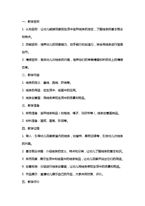 生活中的线条大班综合教案