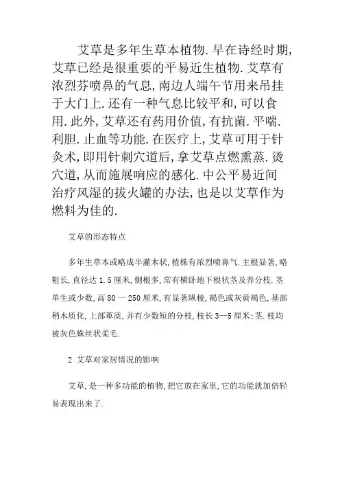 艾草的基本常识介绍