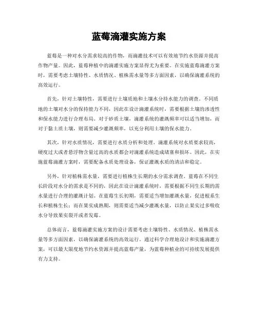 蓝莓滴灌实施方案