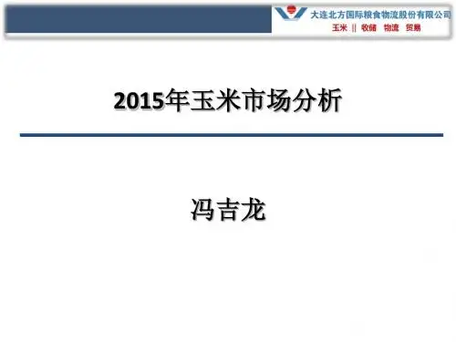 冯吉龙-玉米市场