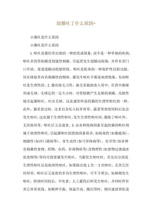 幼猫吐了什么原因--小猫吐是什么原因