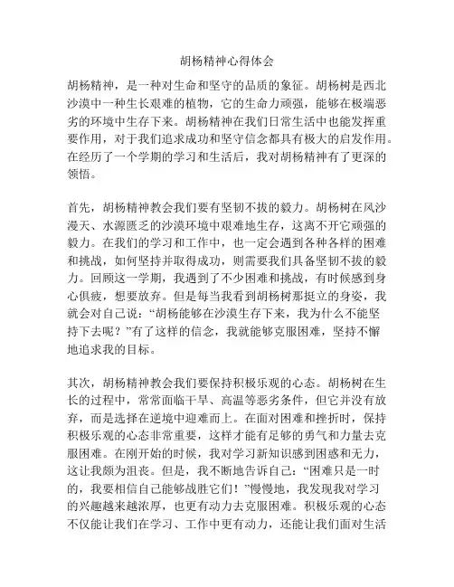 胡杨精神心得体会