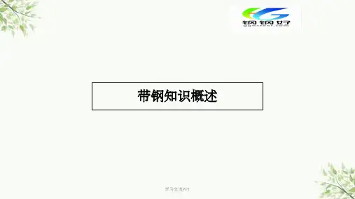 带钢知识概述定版课件