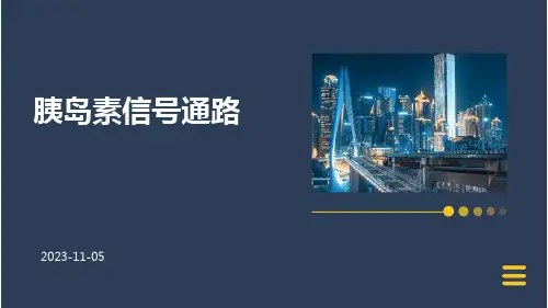 (医学课件)胰岛素信号通路