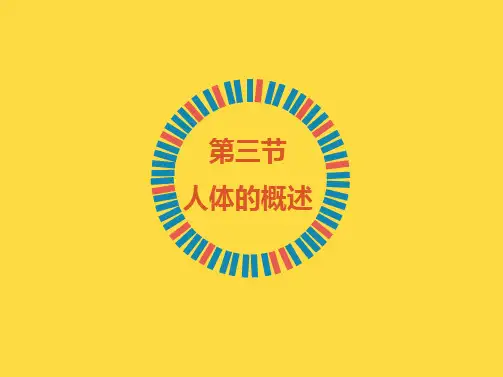 苏教版生物七年级下册_《人体概述》精品课件